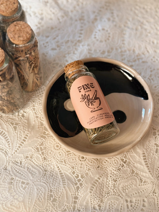 Pine Herb