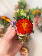 Solar Bloom Smoke Bundle