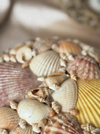 Vintage Large Shell Trinket Box