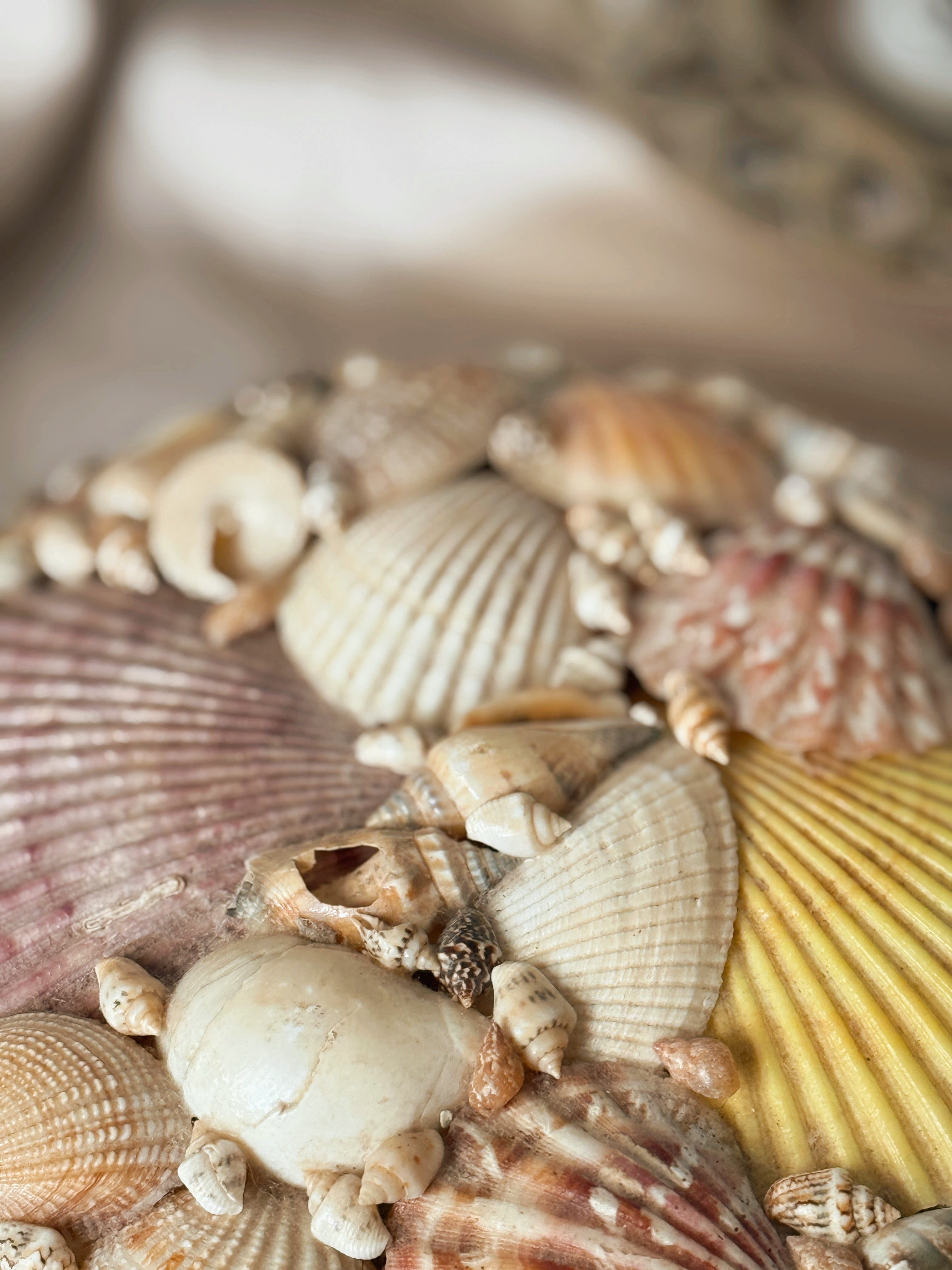 Vintage Large Shell Trinket Box