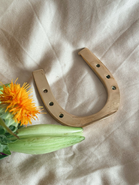 Vintage Brass Horseshoe