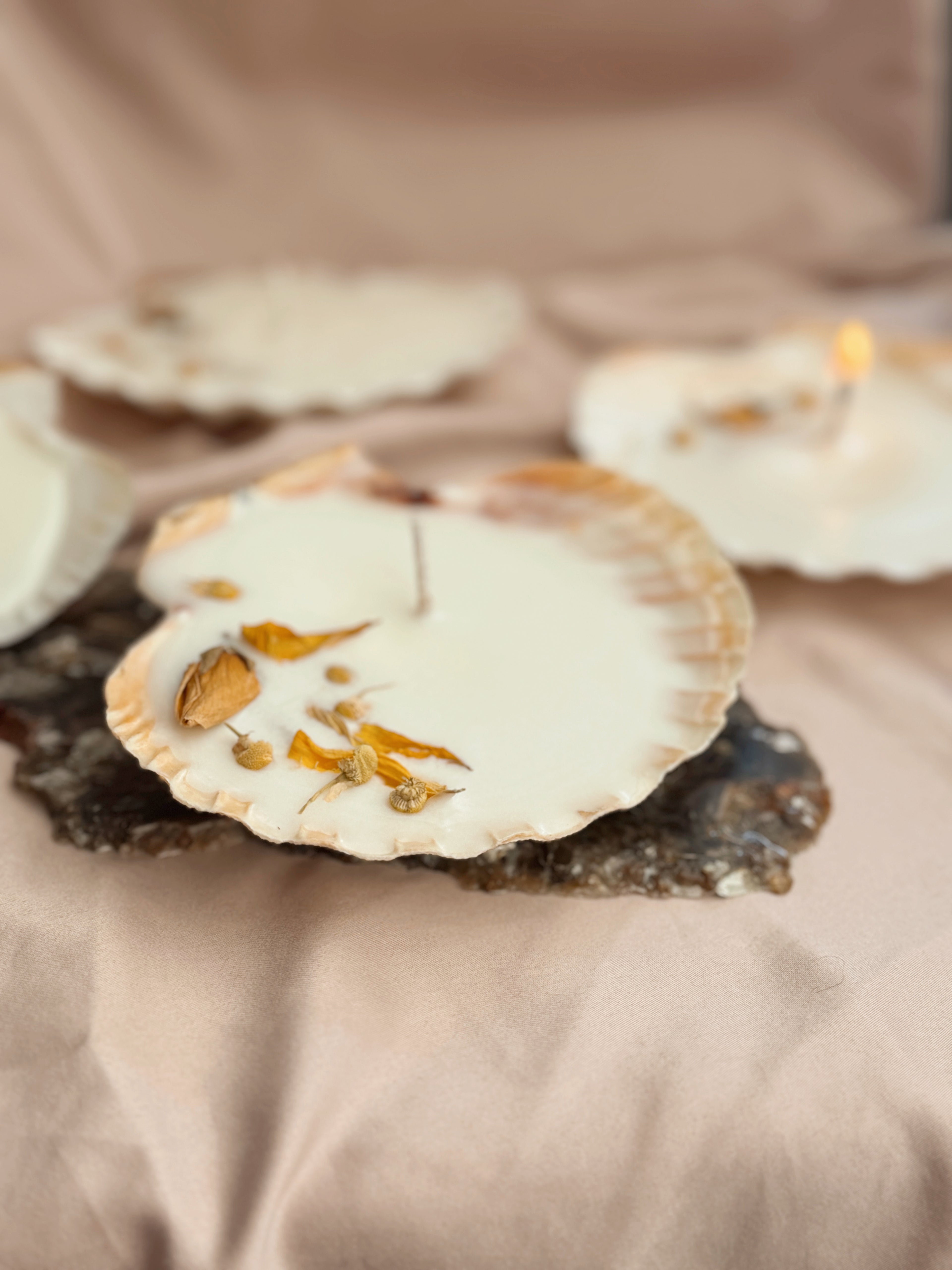 Sunset Offering Scallop Shell Candle