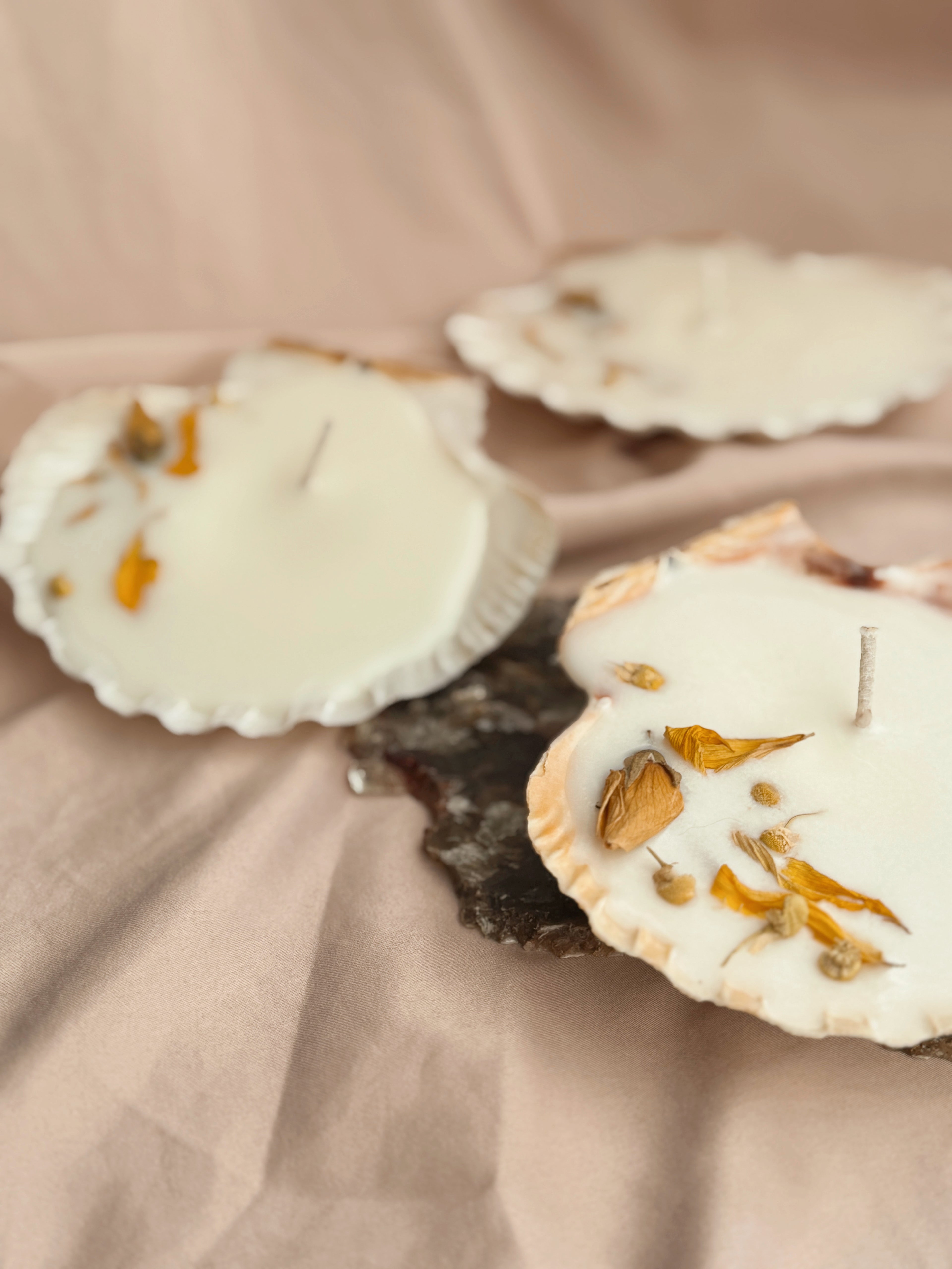 Sunset Offering Scallop Shell Candle