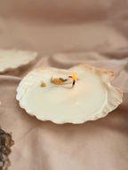 Sunset Offering Scallop Shell Candle