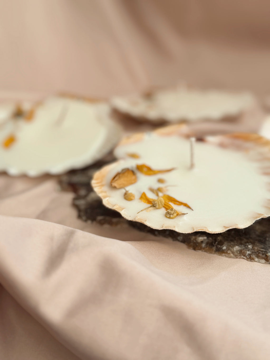 Sunset Offering Scallop Shell Candle