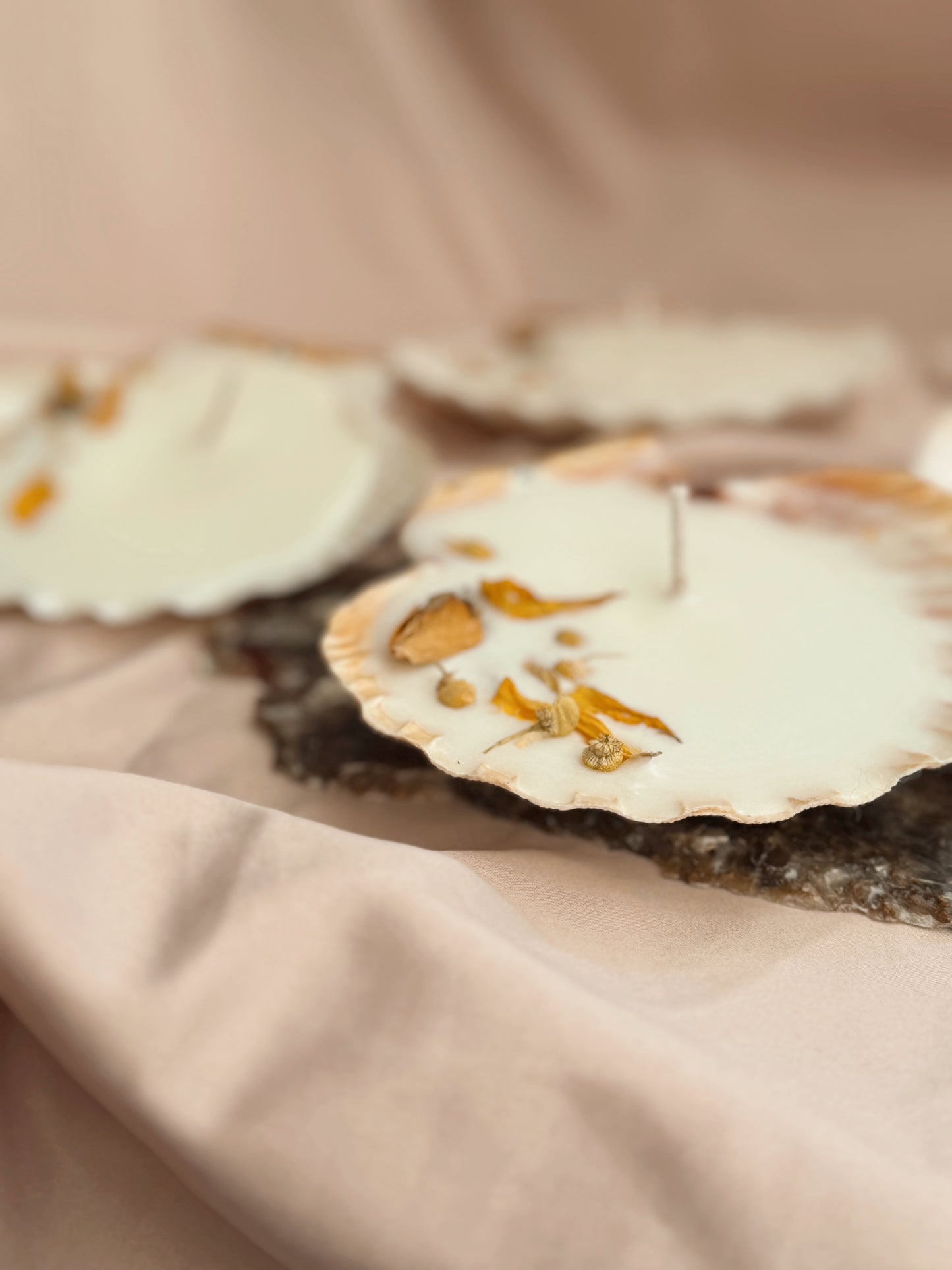 Sunset Offering Scallop Shell Candle