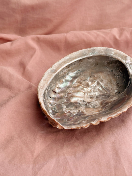 Vintage Abalone Shell