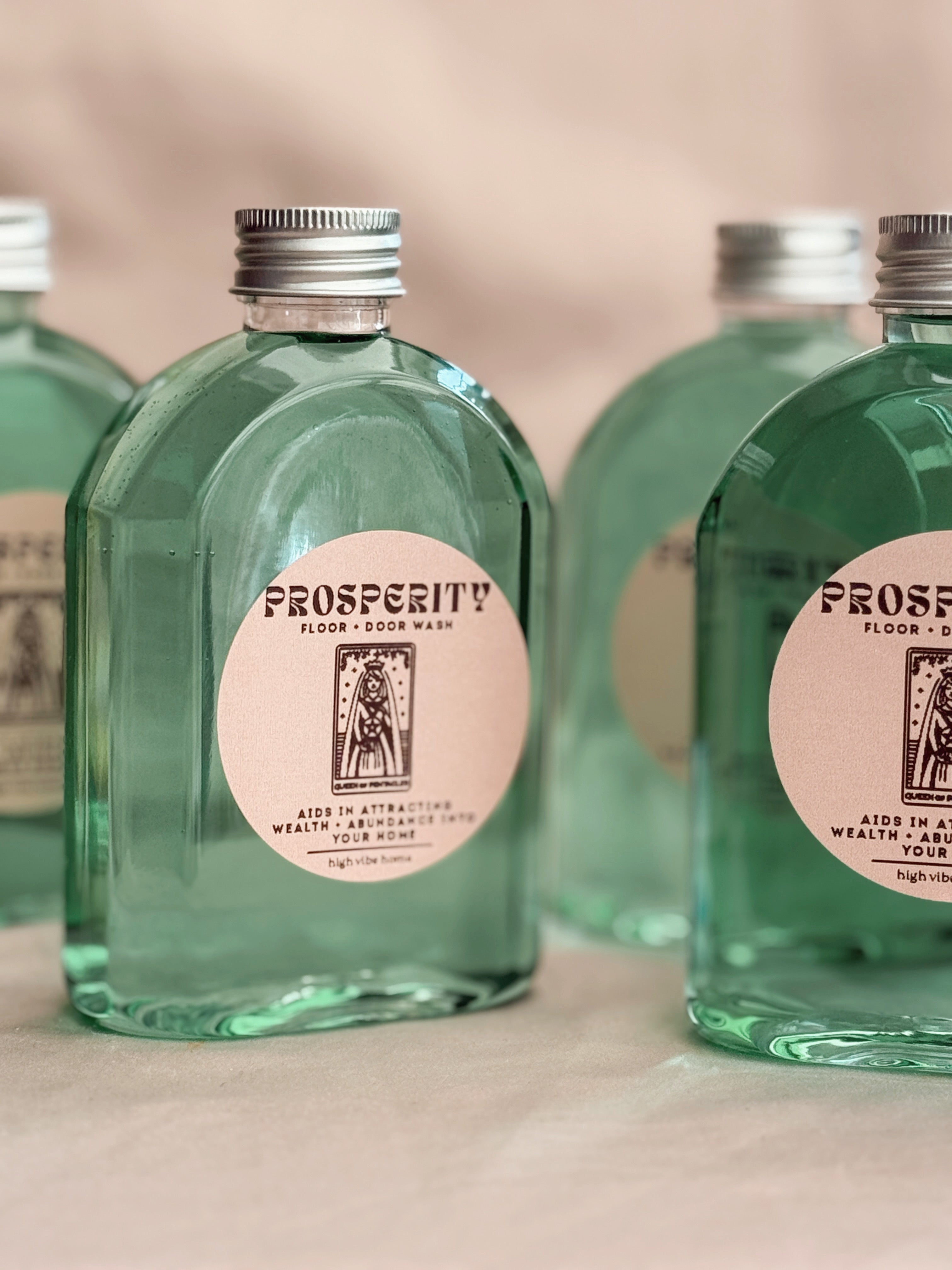 Prosperity Floor + Door Wash