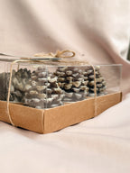 Set of 6 Pinecone Tealight Candles