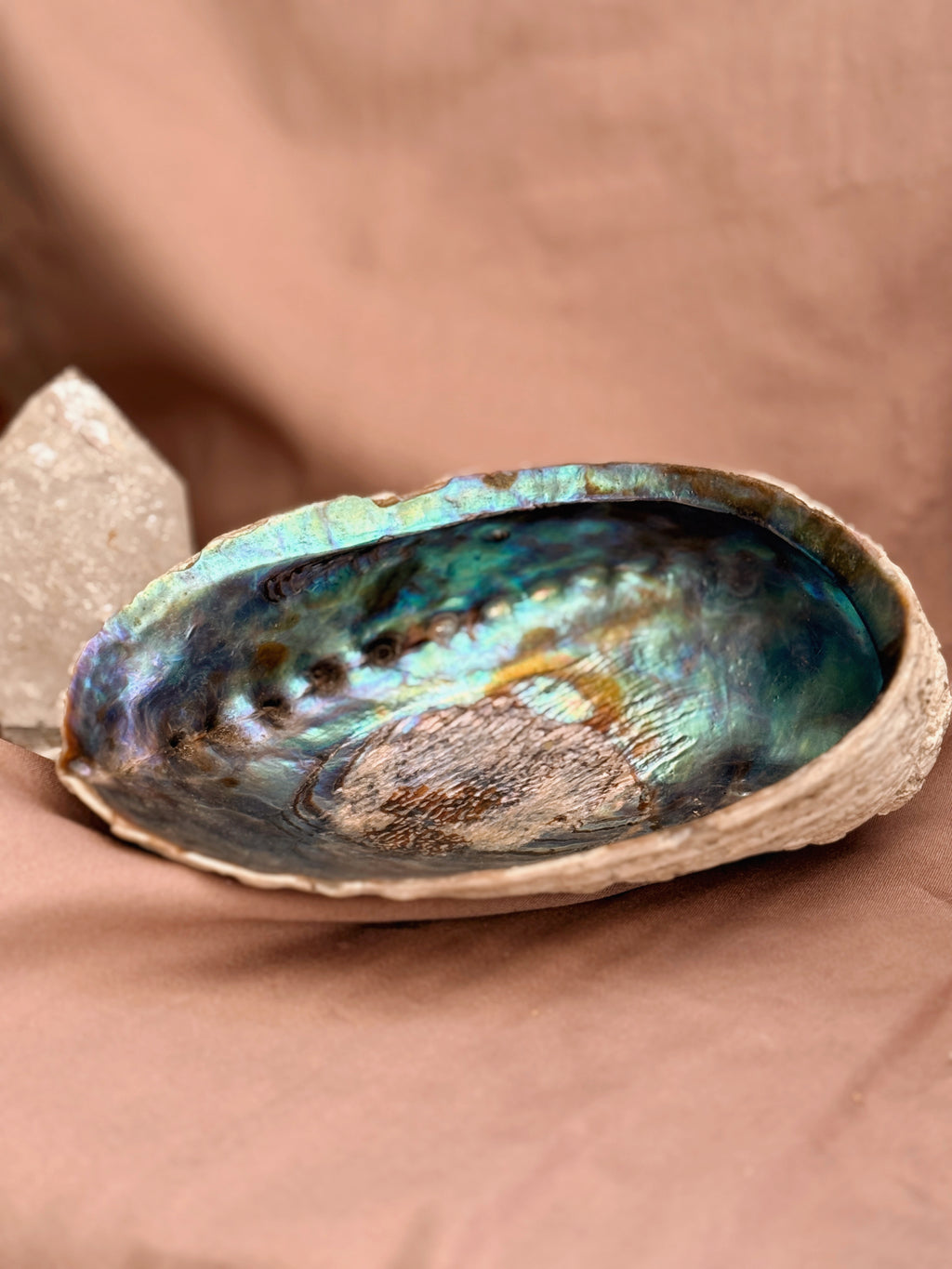 Vintage Blue Abalone Shell