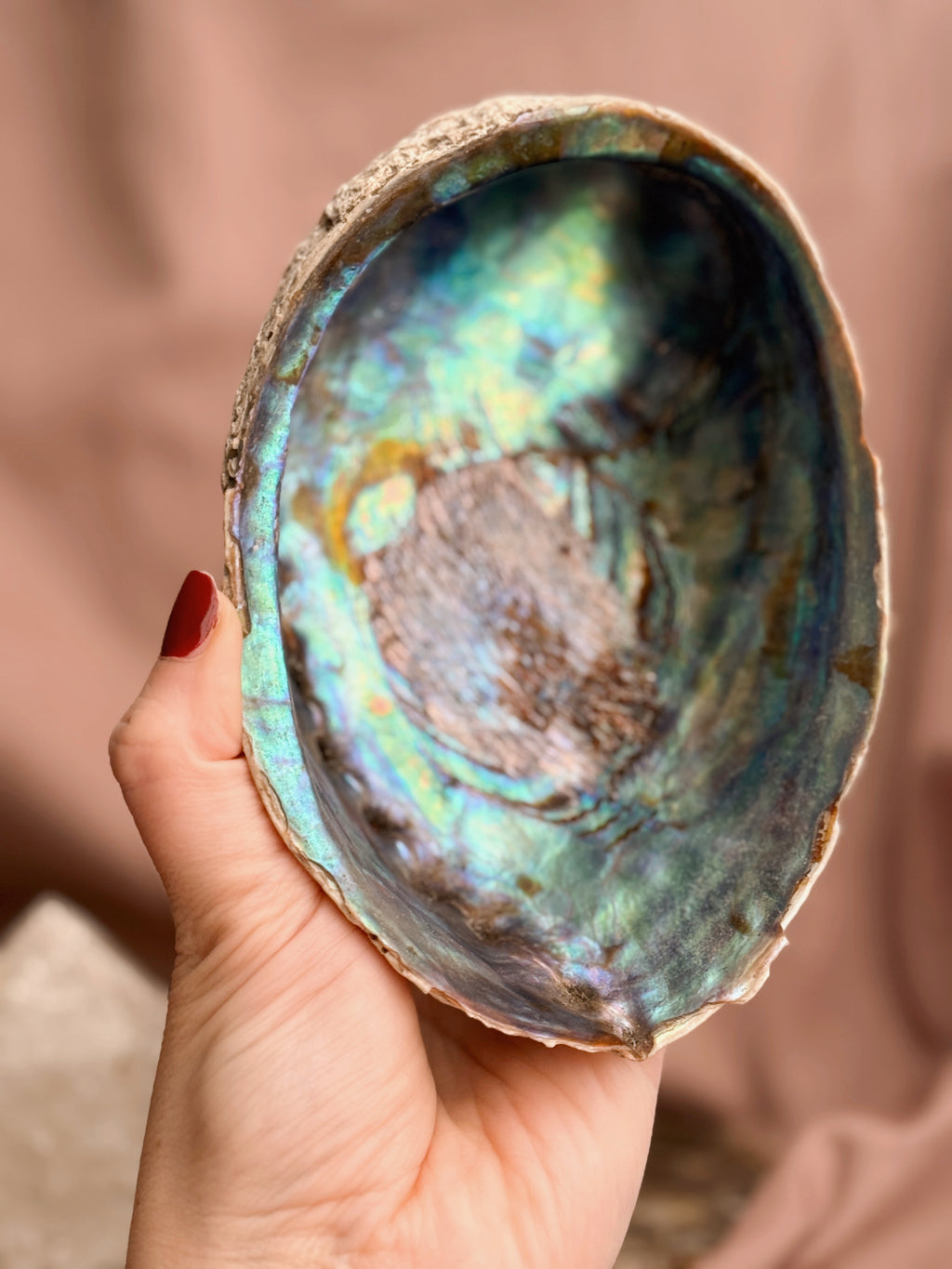 Vintage Blue Abalone Shell