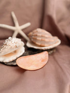 Vintage Shells