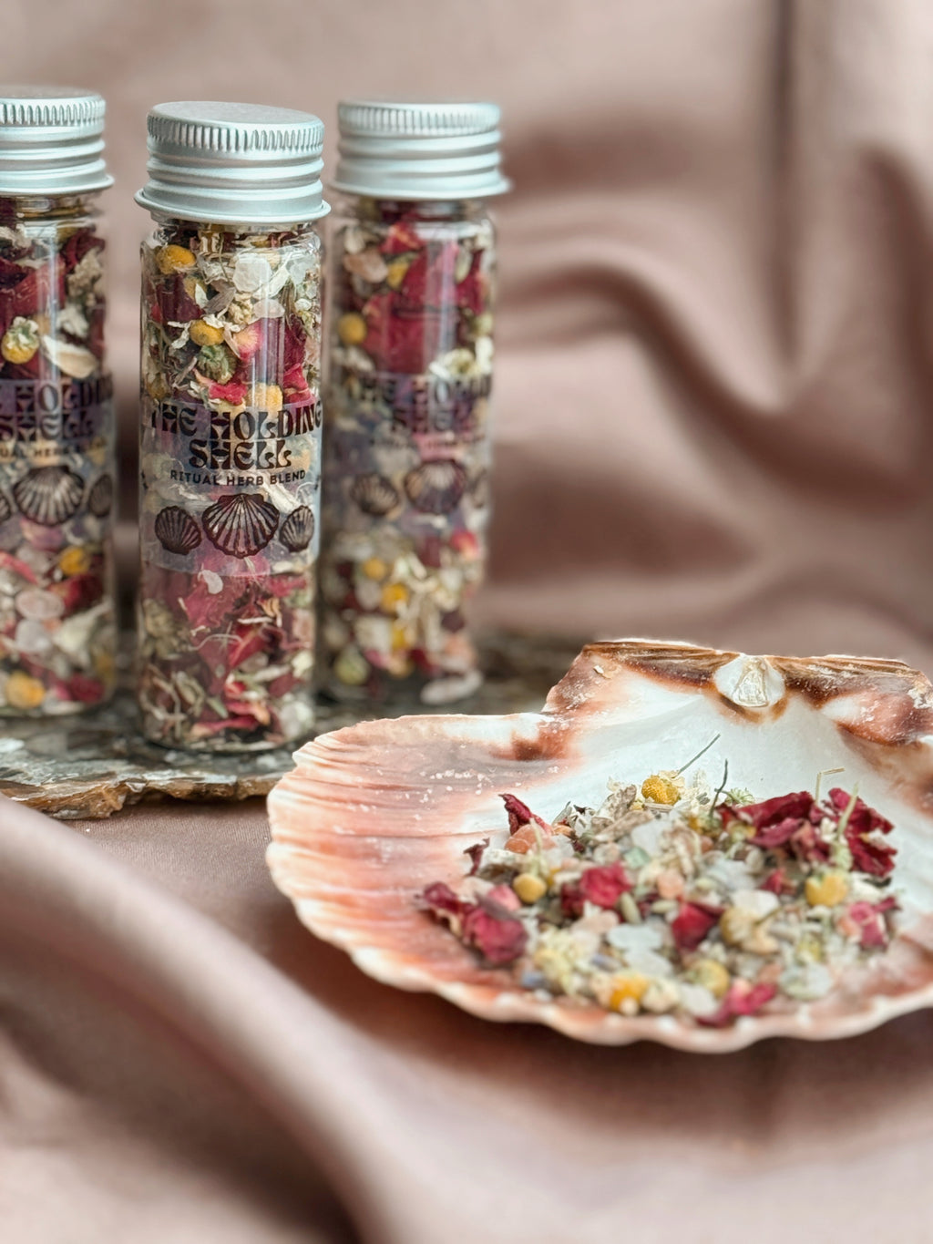 The Holding Scallop Shell