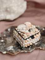 Vintage Mini Shell Trinket Box