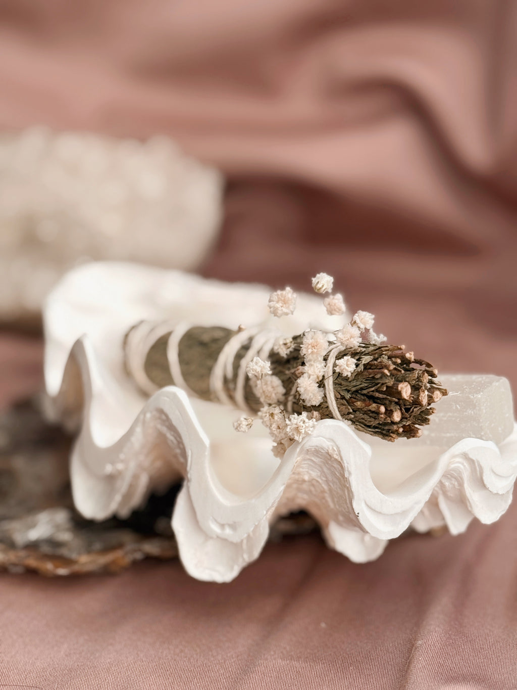 Vintage Tridacna Clam shell