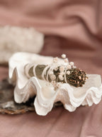 Vintage Tridacna Clam shell