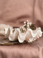 Vintage Tridacna Clam shell