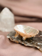 Vintage Mother of Pearl Trinket Dish