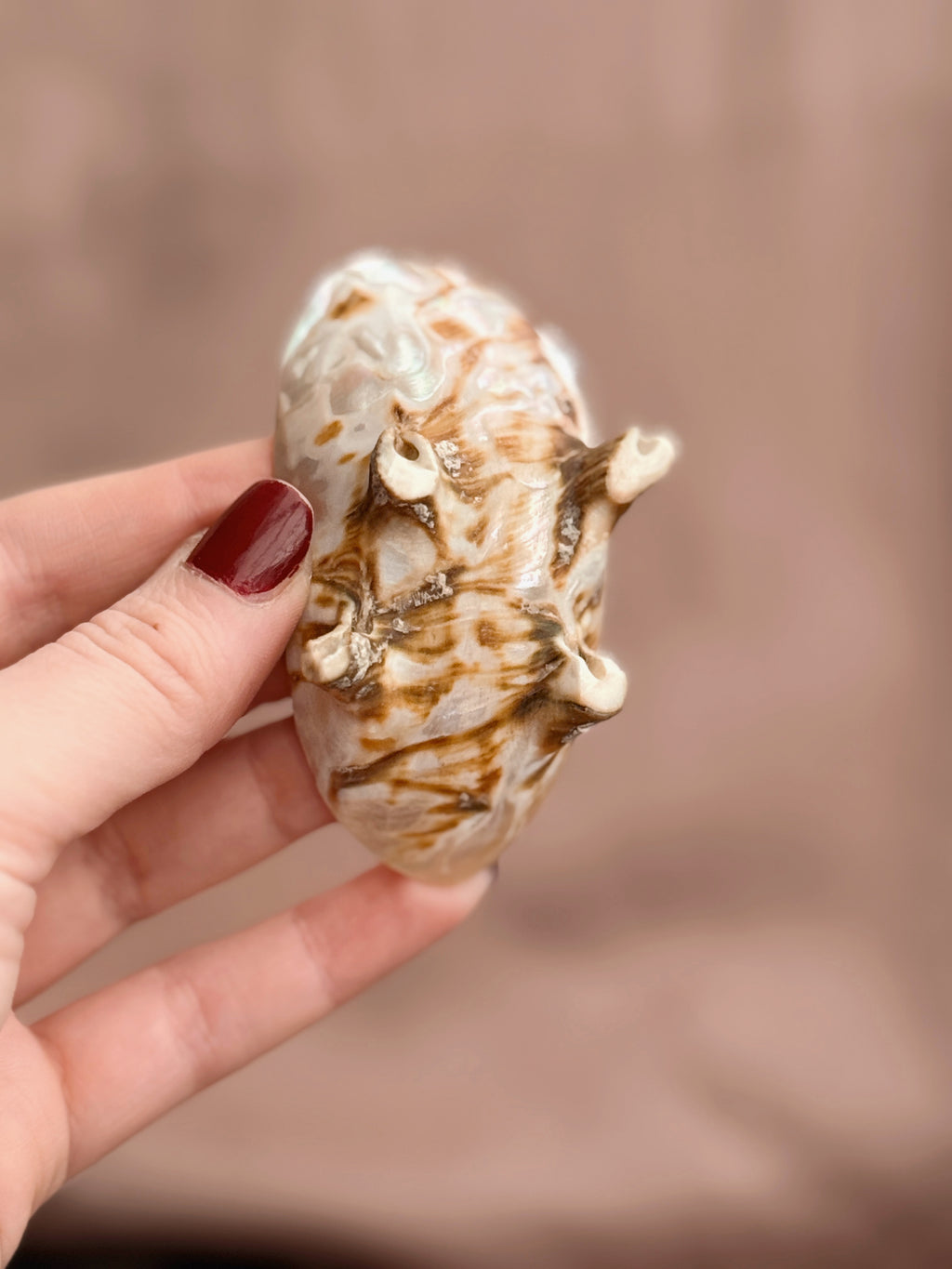 Vintage Mother of Pearl Trinket Dish