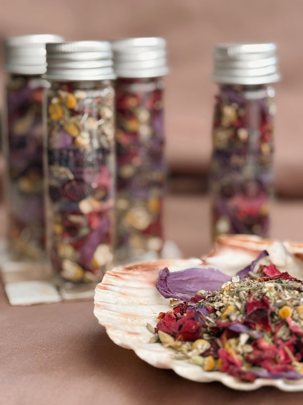 The Still Tide Rest Scallop Shell