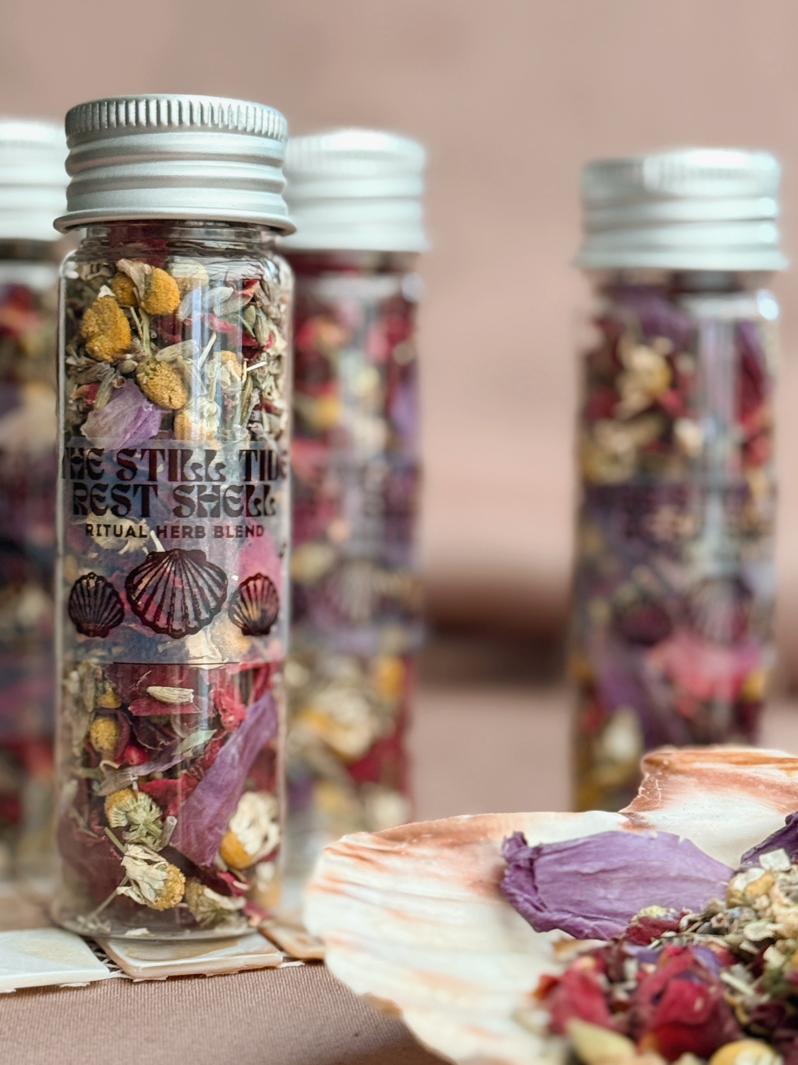 The Still Tide Rest Scallop Shell