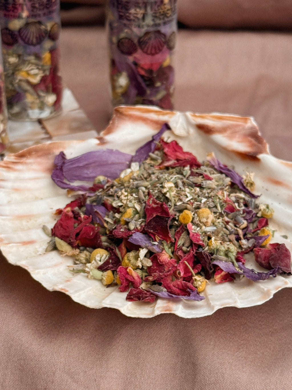 The Still Tide Rest Scallop Shell