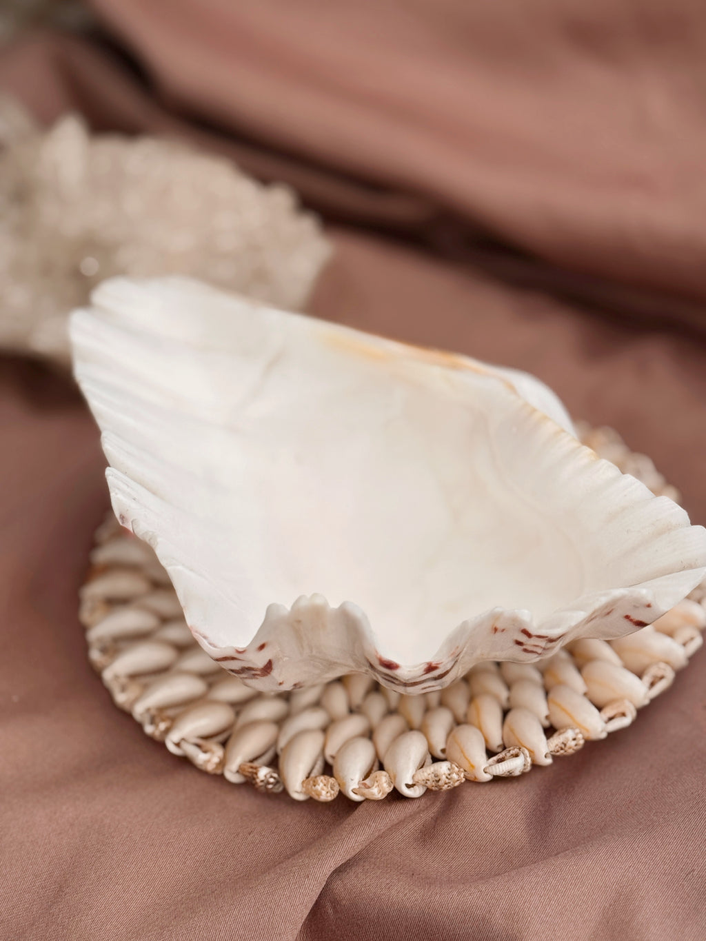 Vintage Clam Shell