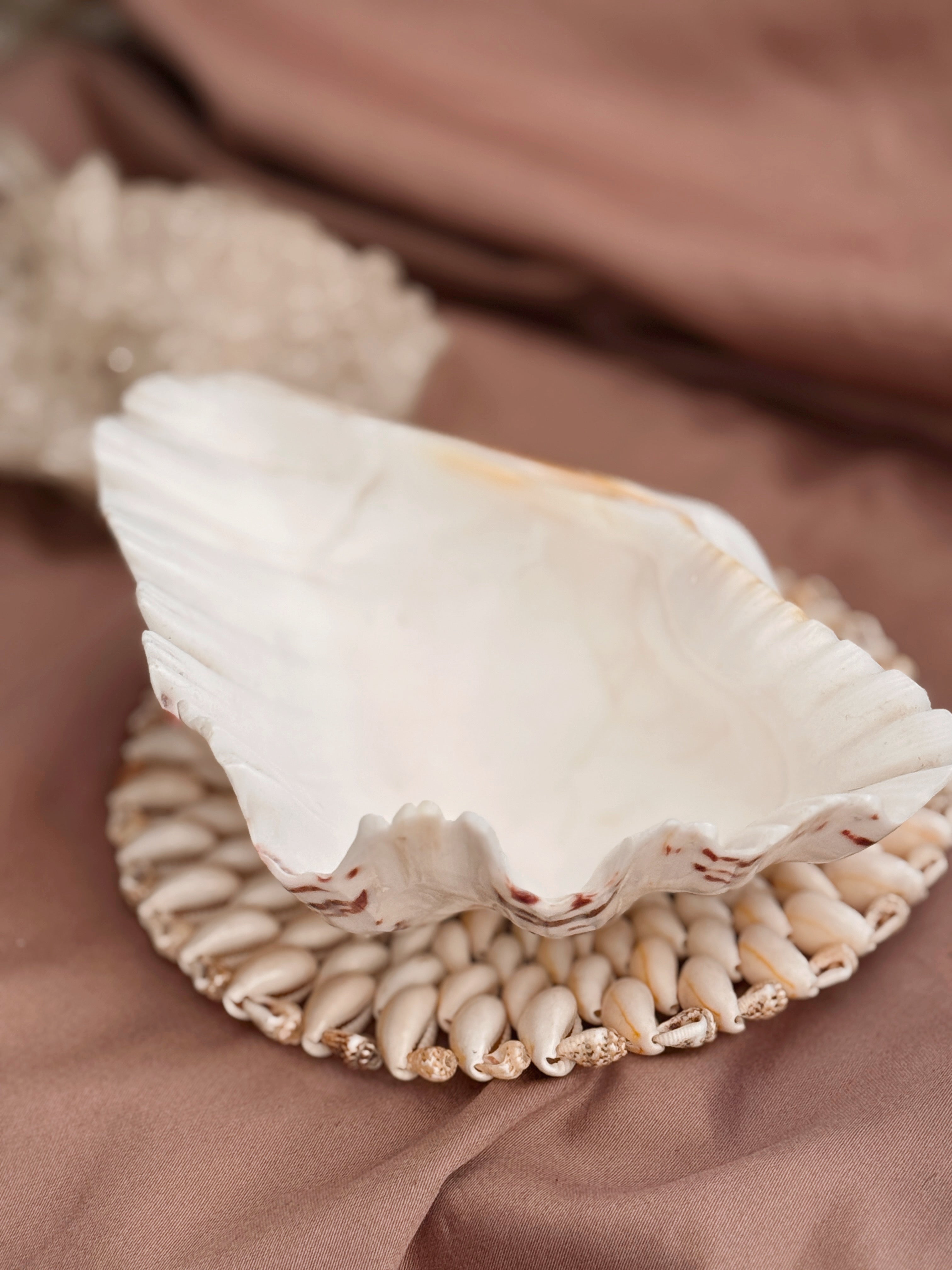 Vintage Clam Shell
