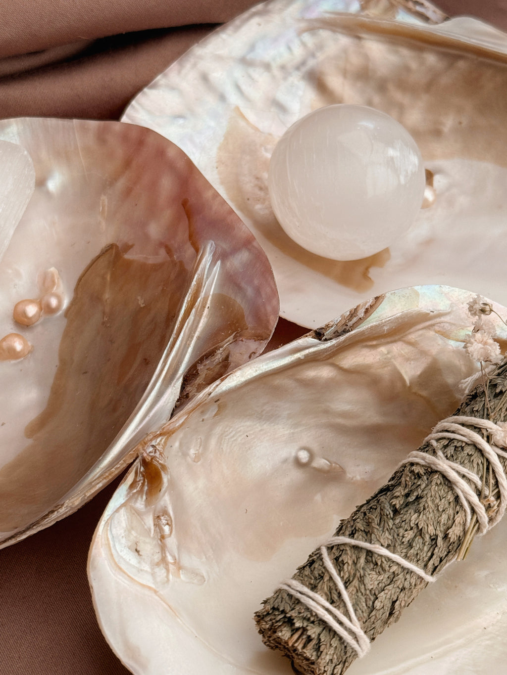 Mother of Pearl Freshwater Oyster Shell