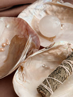 Mother of Pearl Freshwater Oyster Shell