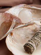 Mother of Pearl Freshwater Oyster Shell