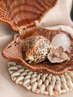 Vintage Wicker Scallop Shell