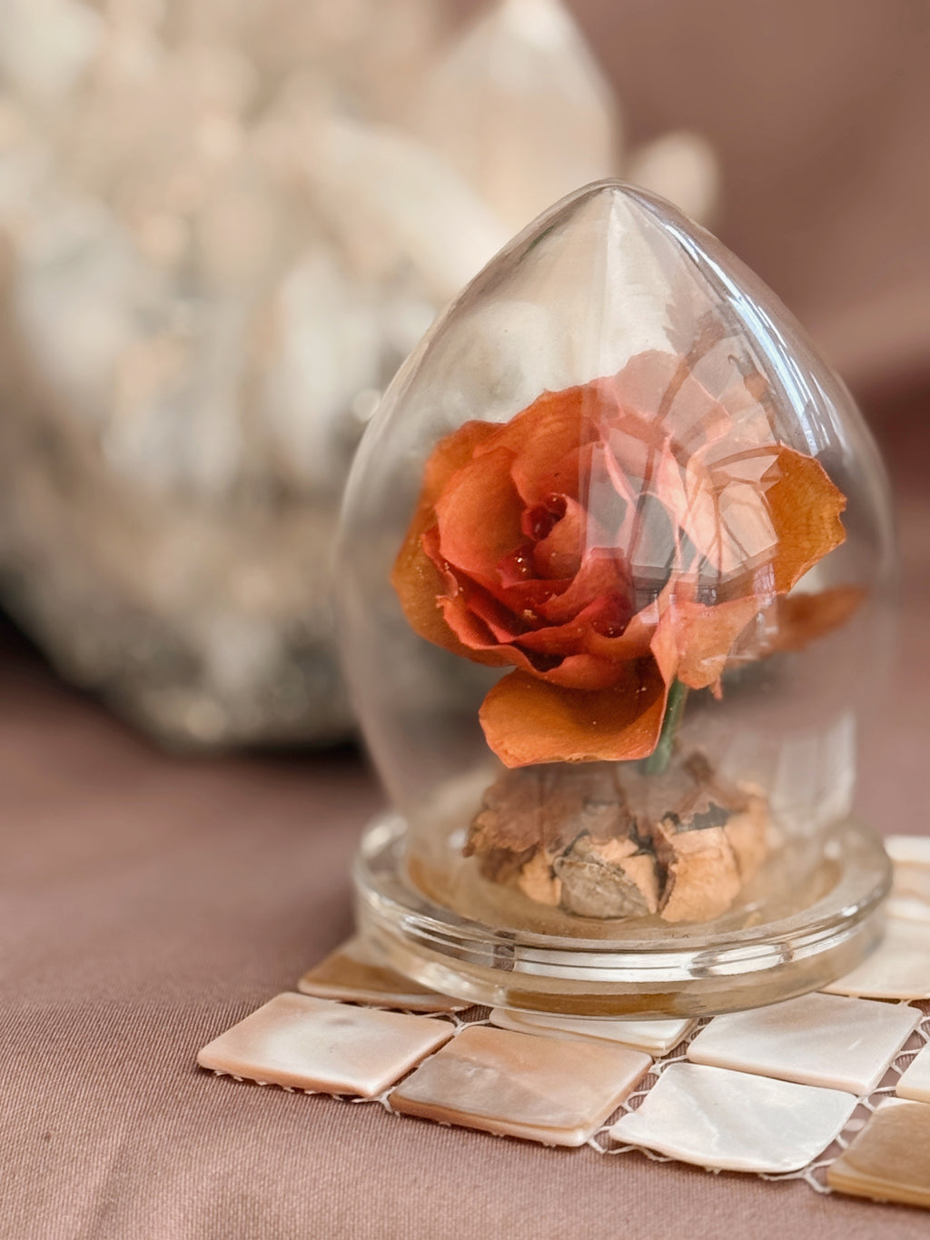 Genuine Rose Floral Dome