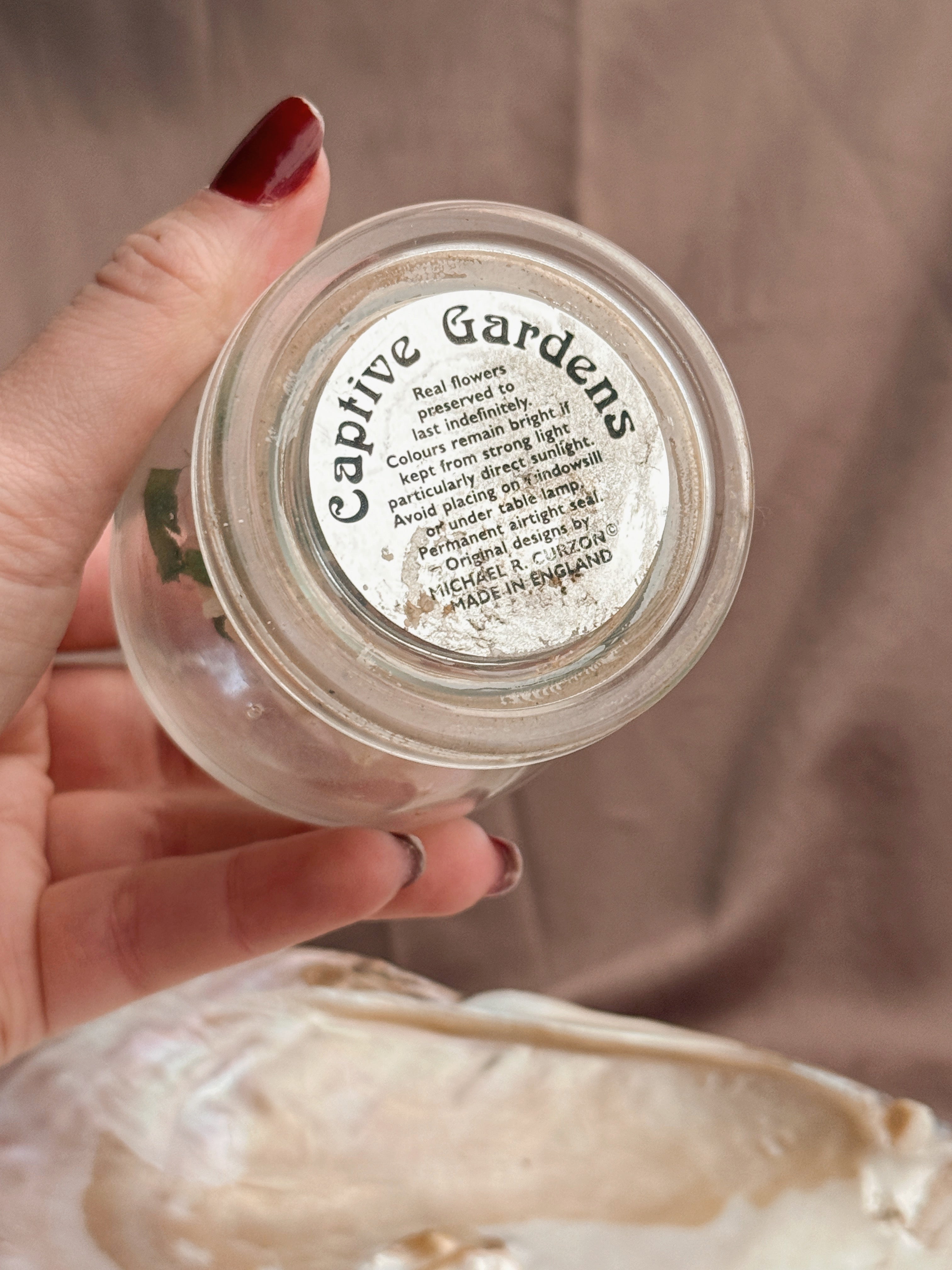 Vintage Real Floral Dome