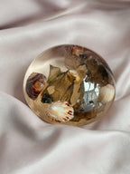 Vintage Shell Paperweight