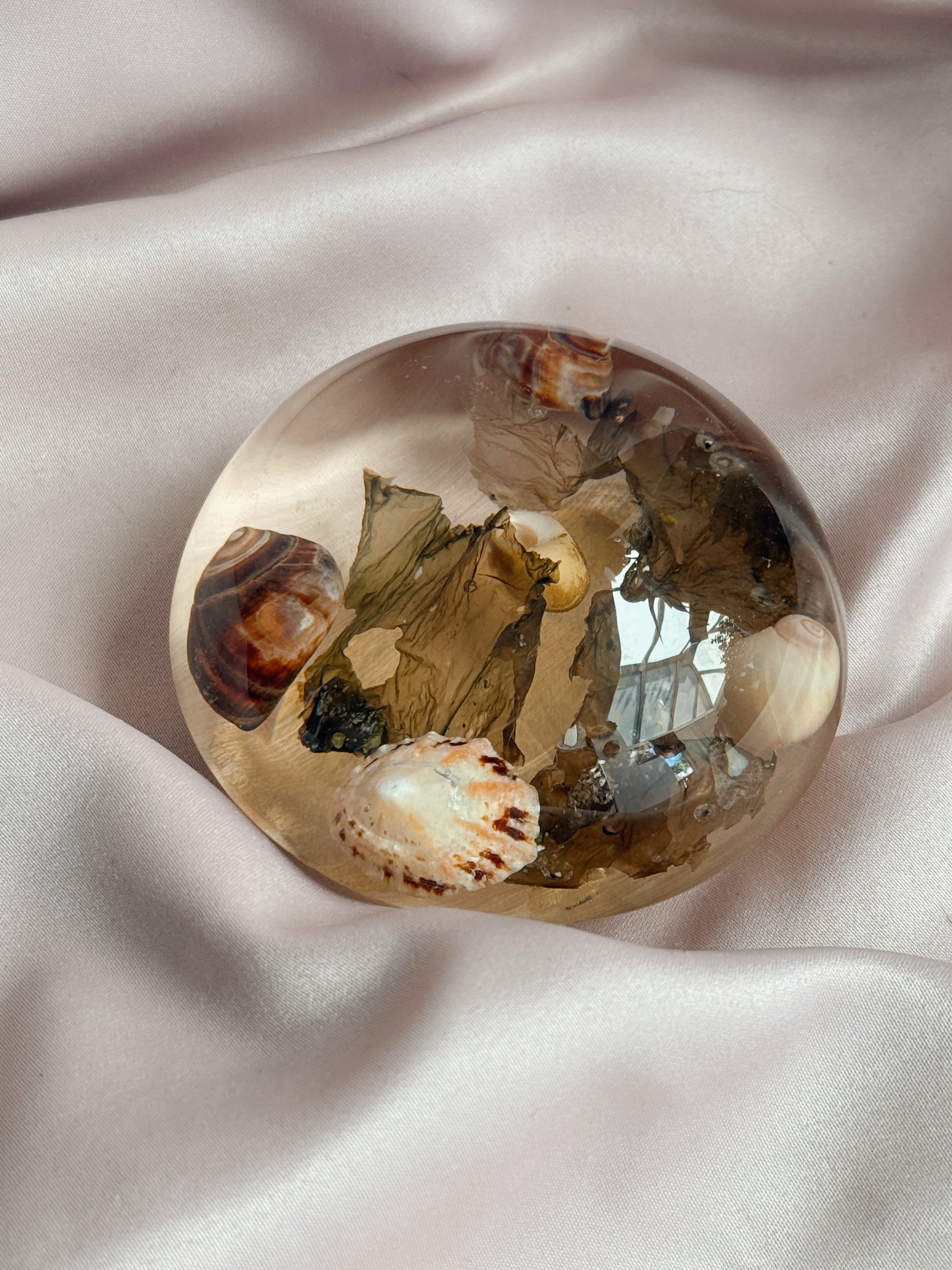 Vintage Shell Paperweight