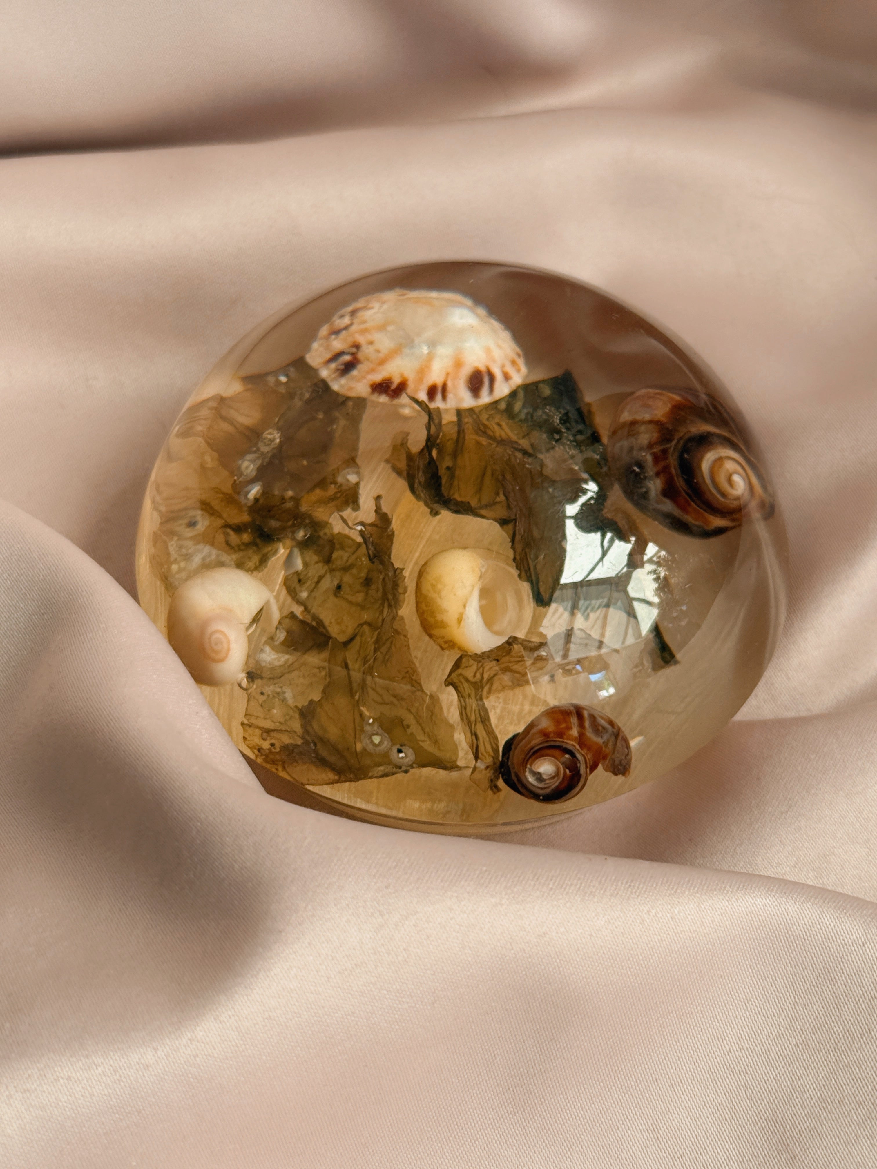 Vintage Shell Paperweight