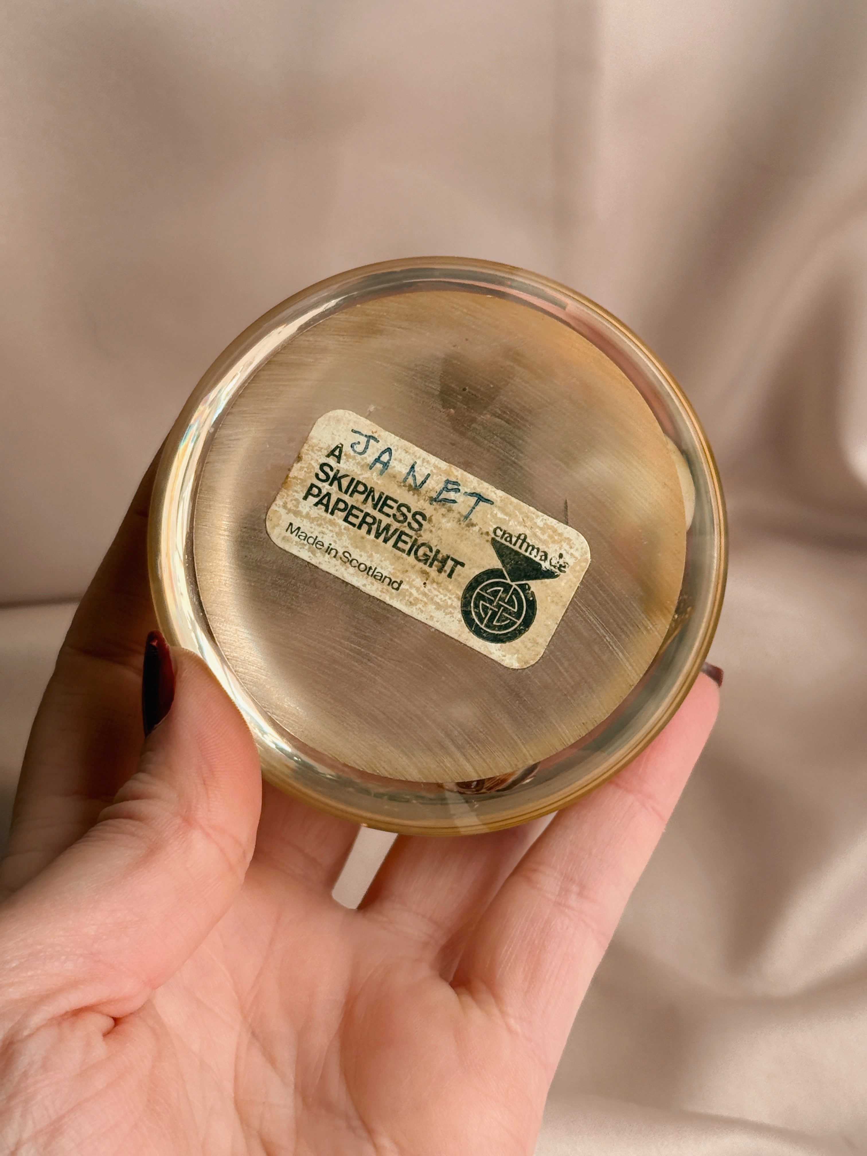 Vintage Shell Paperweight