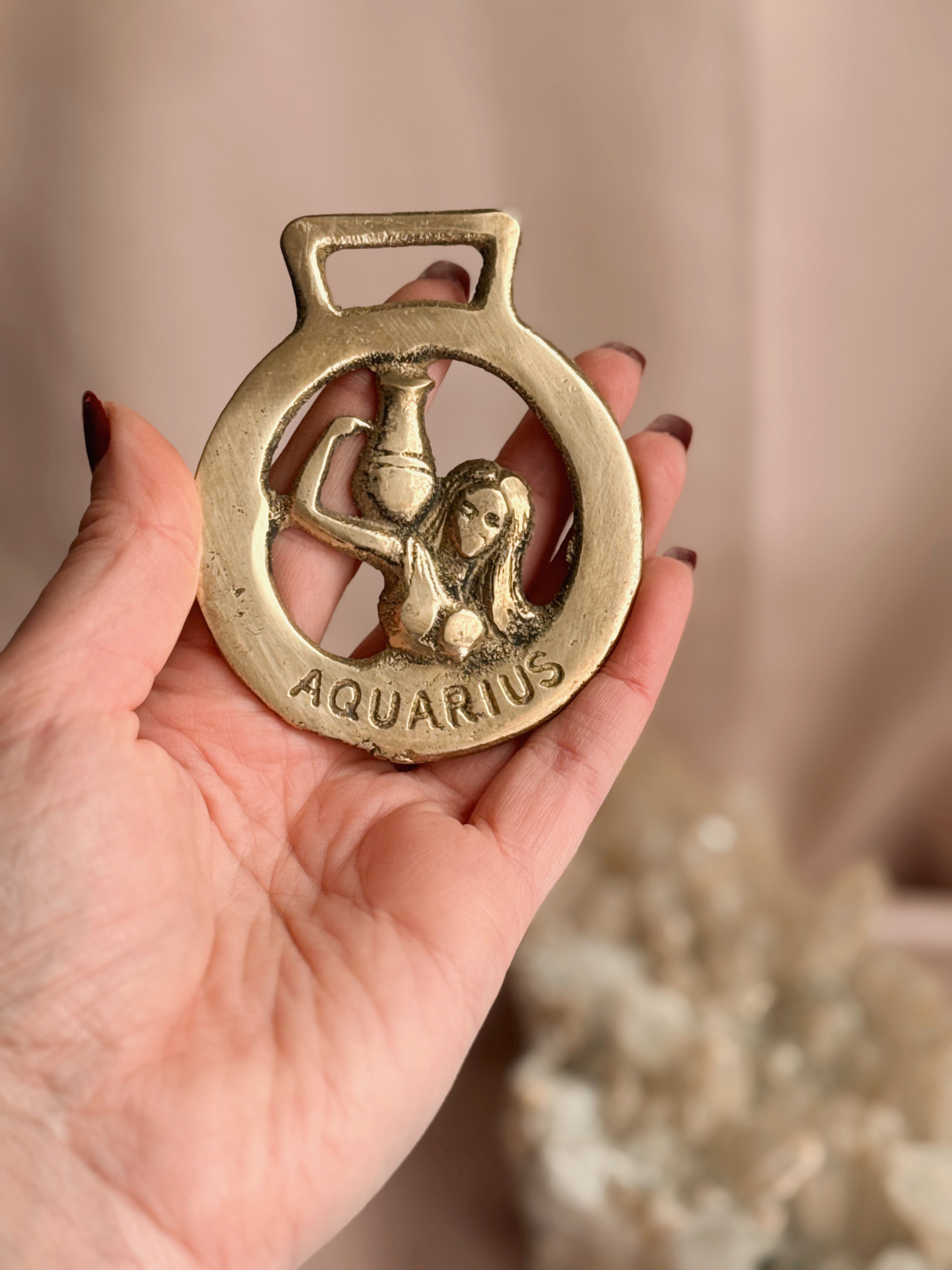 Vintage Brass Aquarius Medallion No.2
