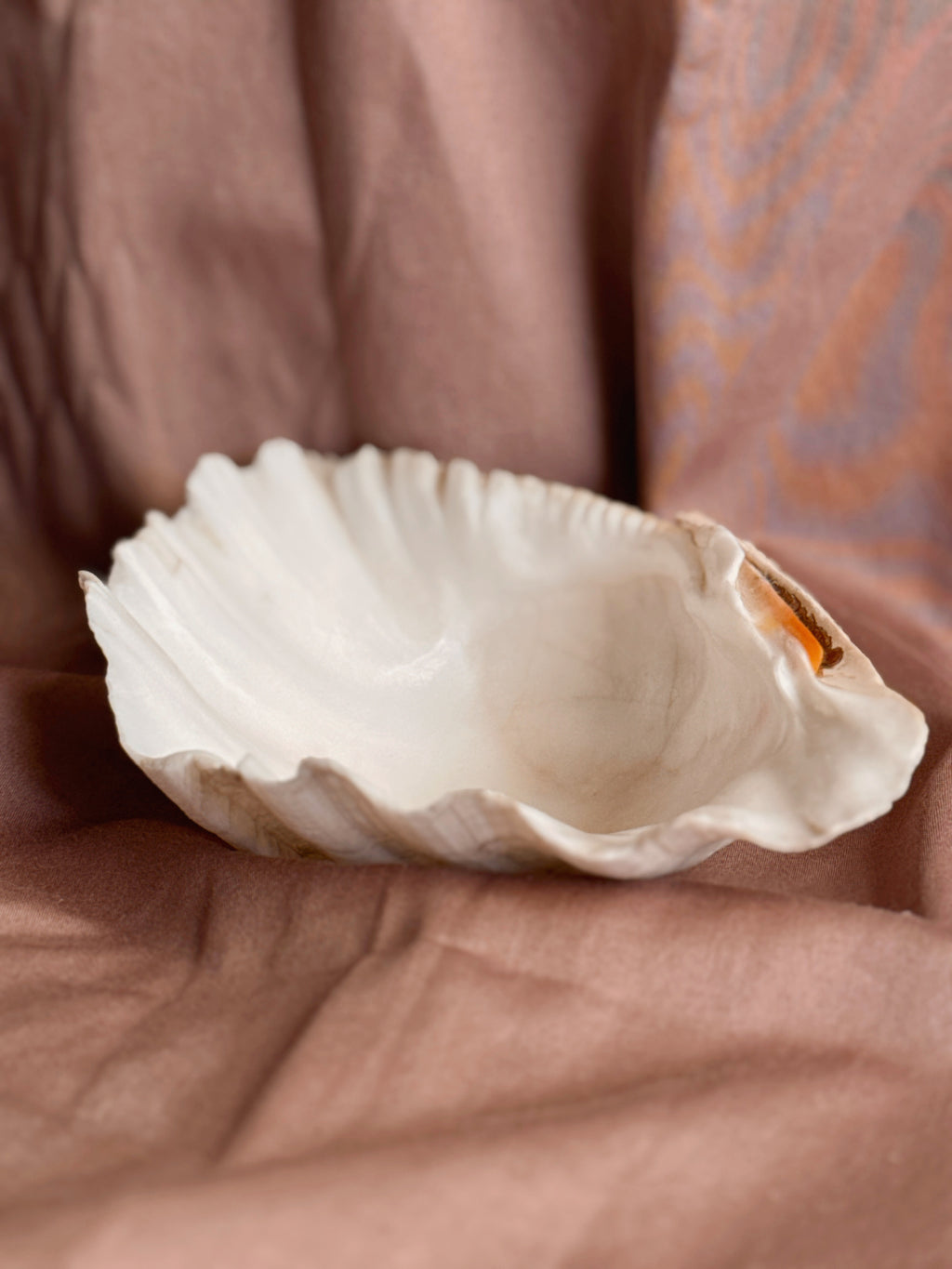 Vintage Clam Shell