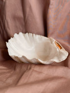Vintage Clam Shell