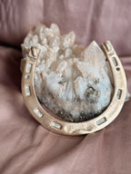 Vintage Large Brass Horseshoe