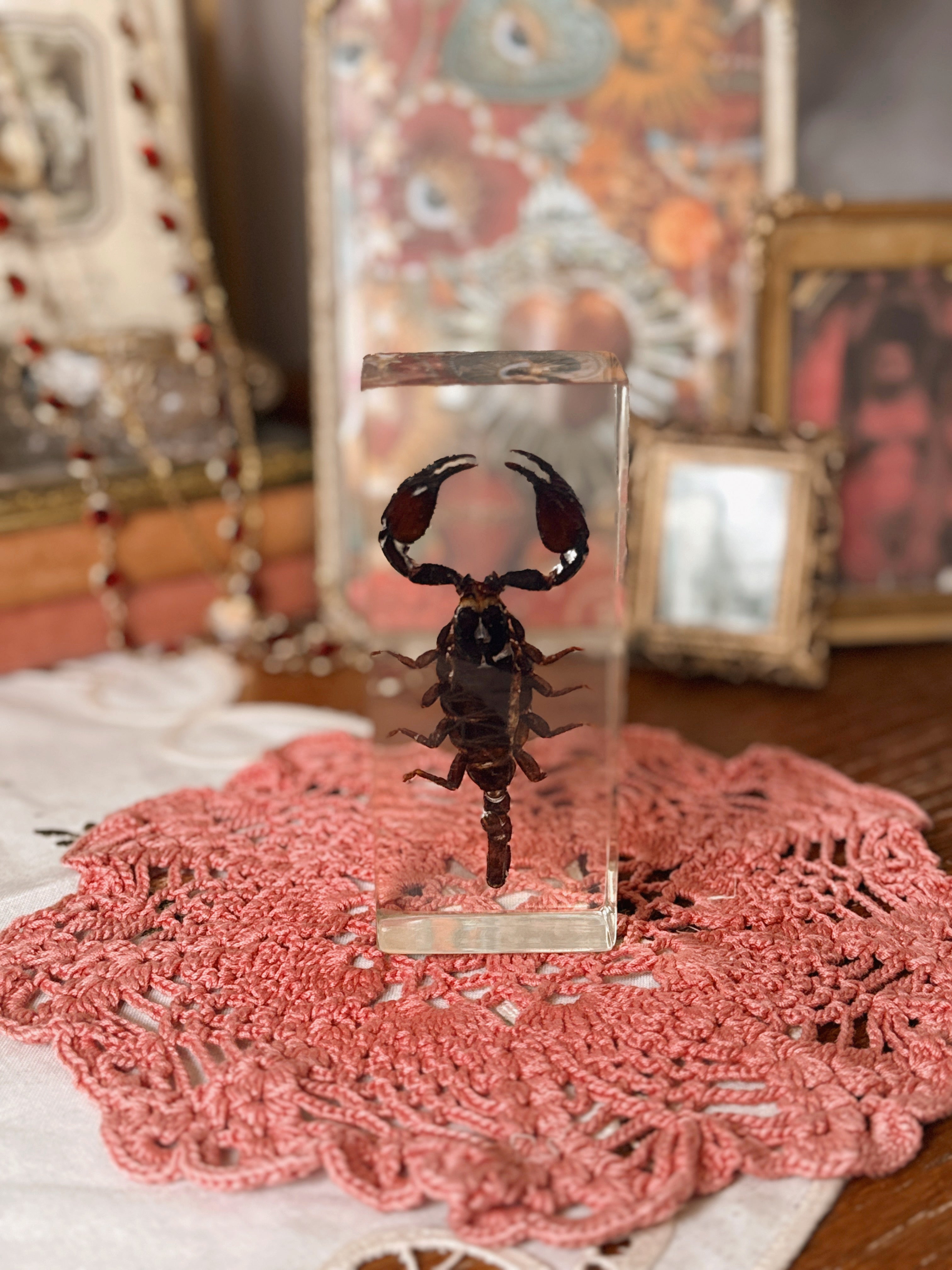 Vintage Scorpion Resin Block