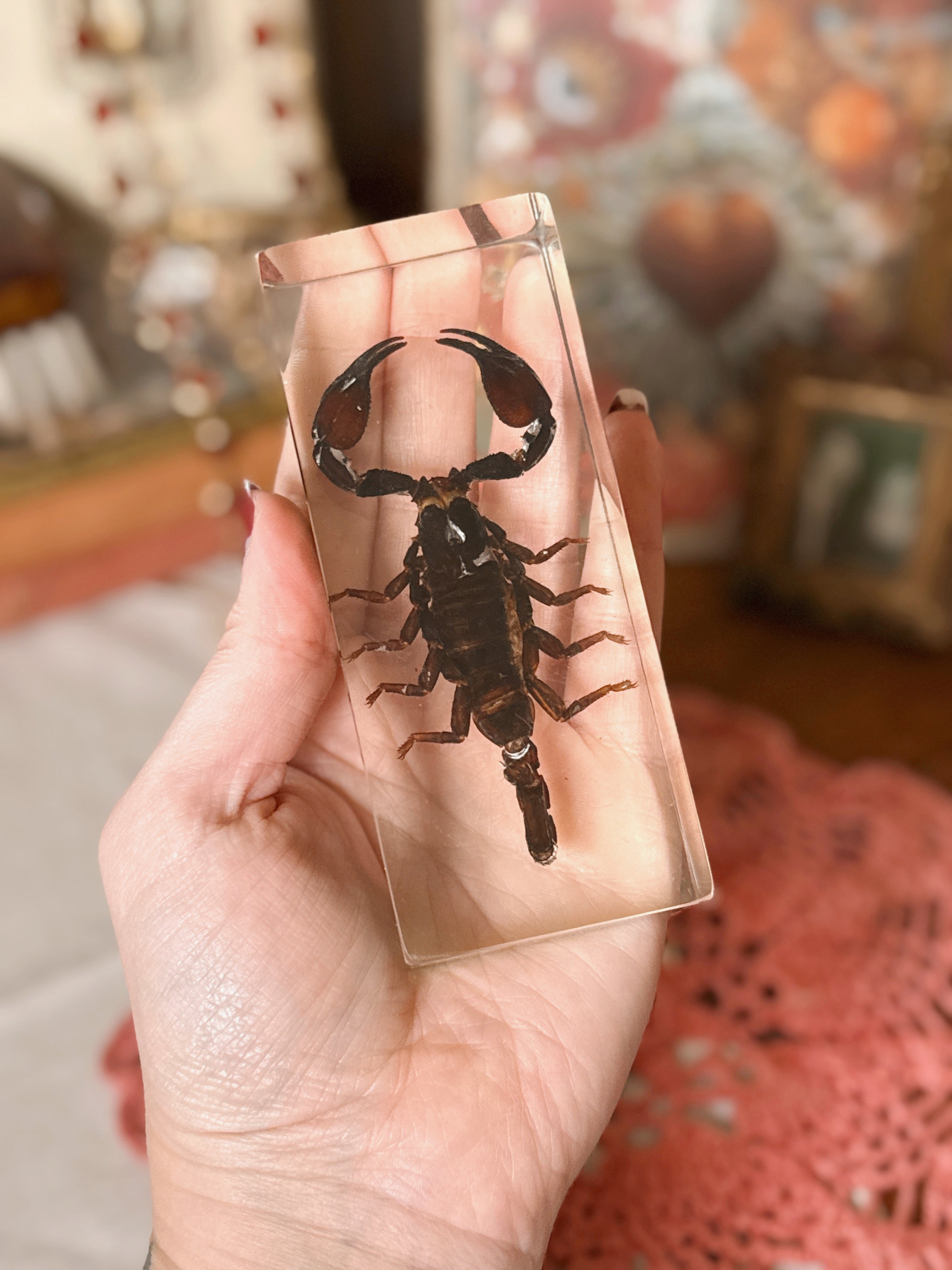 Vintage Scorpion Resin Block