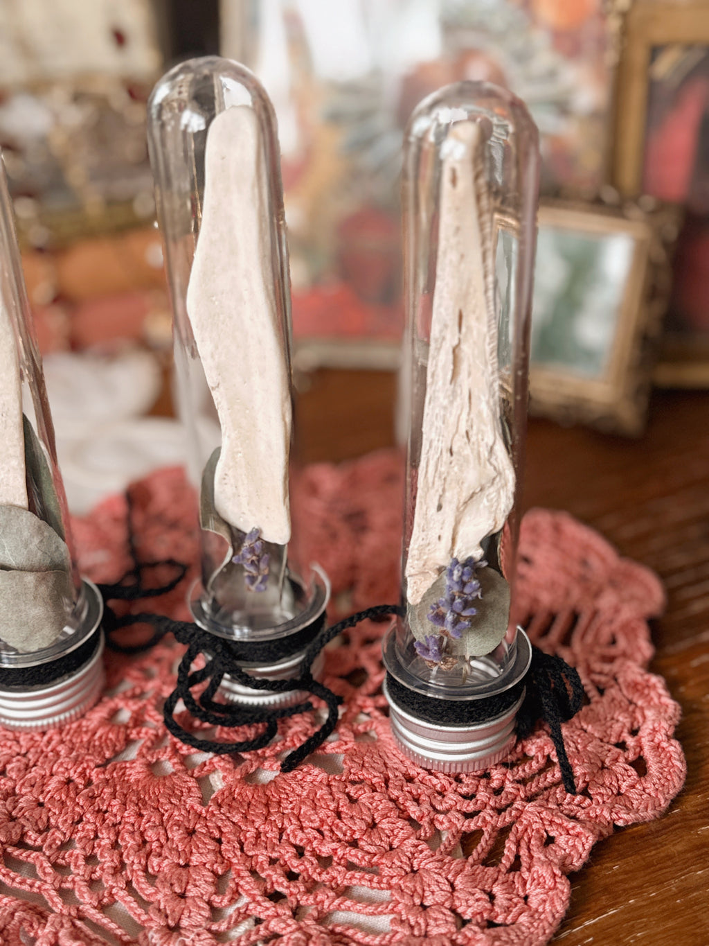 Bone + Herb Jars