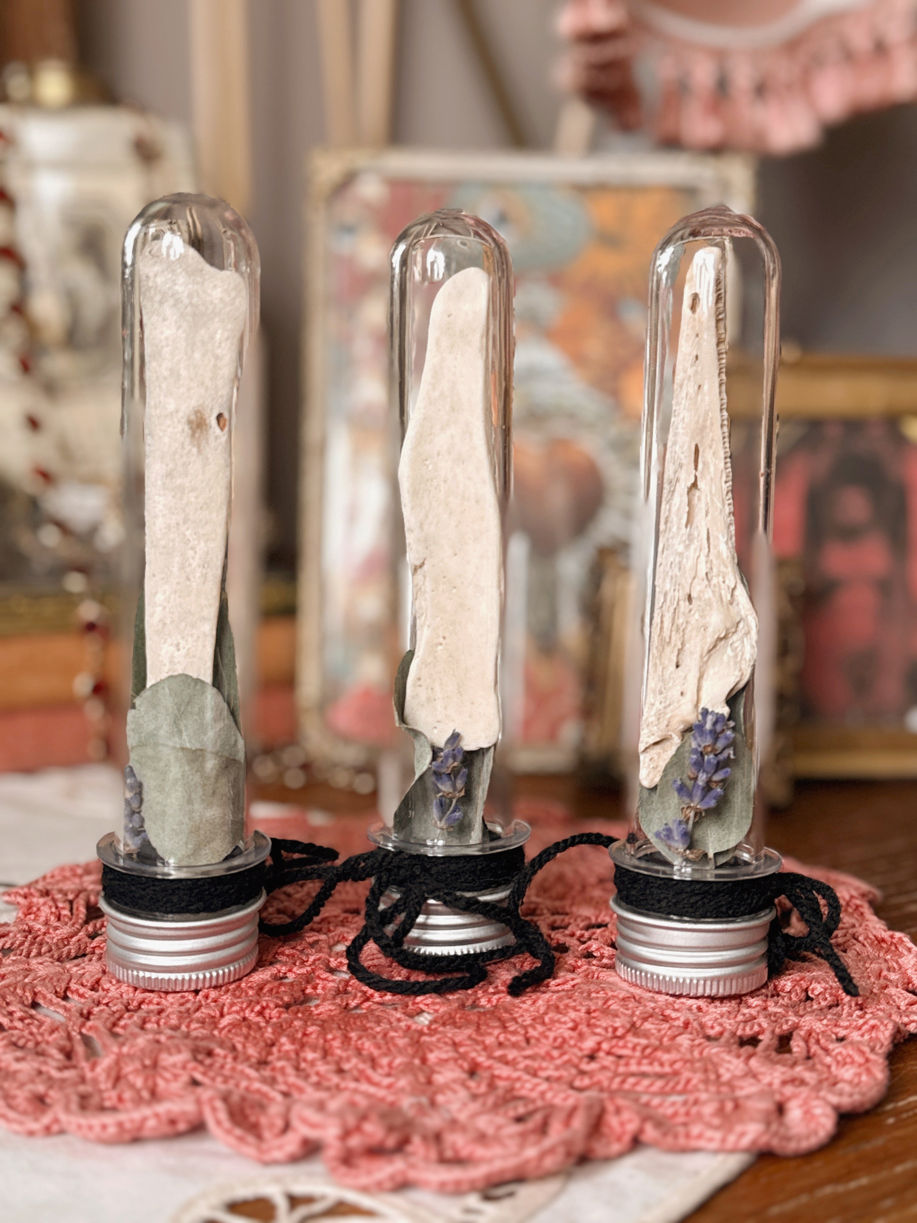 Bone + Herb Jars