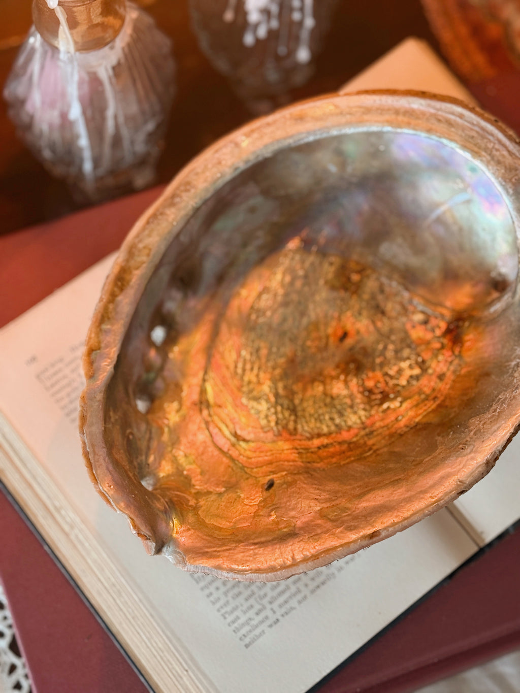 Vintage Large Abalone Shell