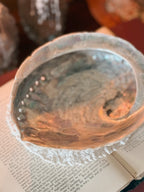 Vintage Abalone Shell