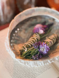 Vintage Abalone Shell