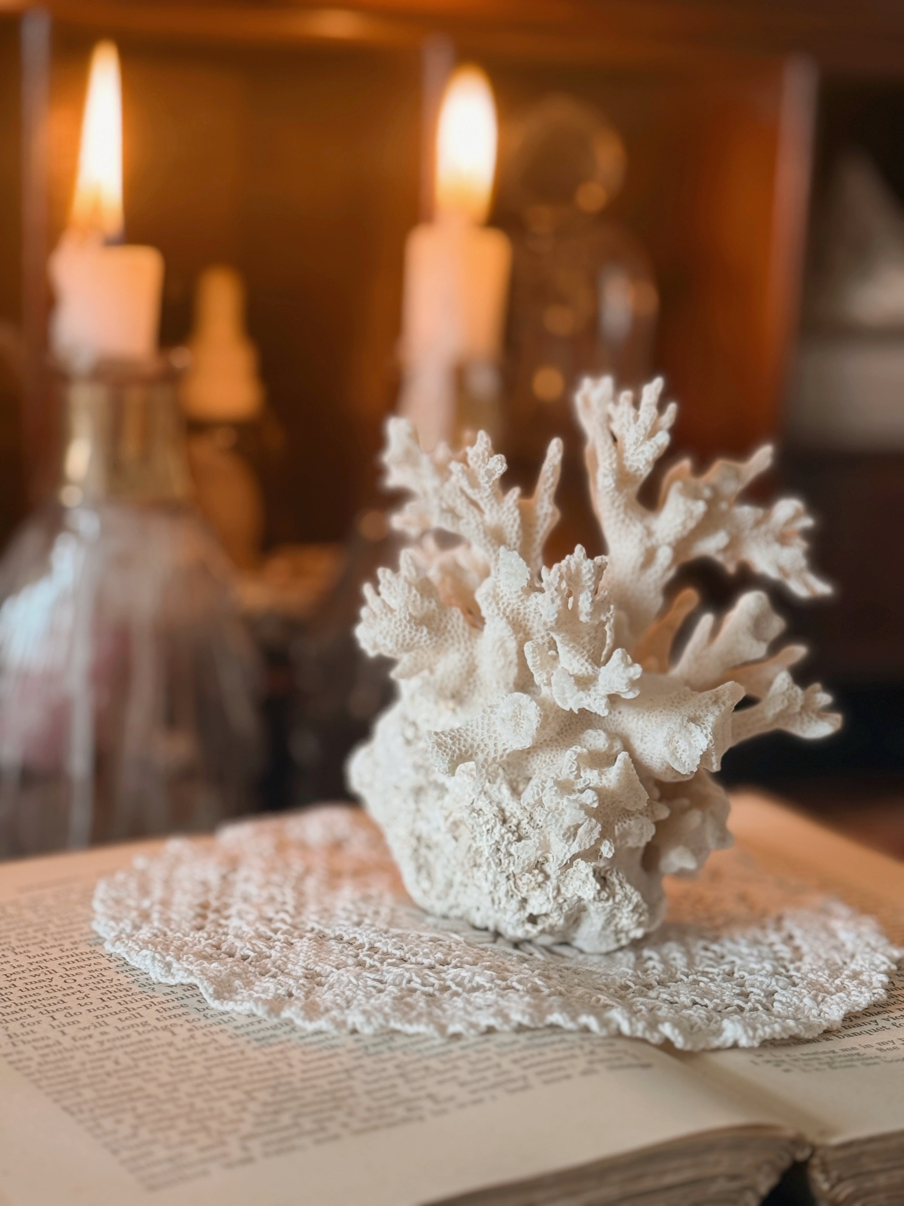 Vintage Natural Sea Coral